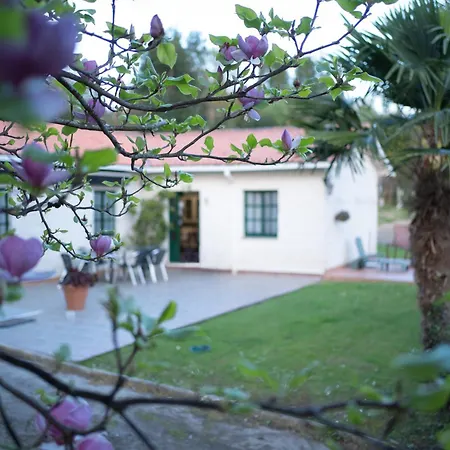 Holiday home Casa Milladoiro *