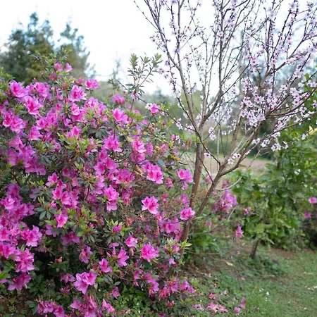 Holiday home Casa Milladoiro *