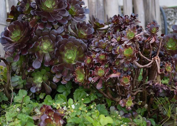 Casa Milladoiro Dom wakacyjny