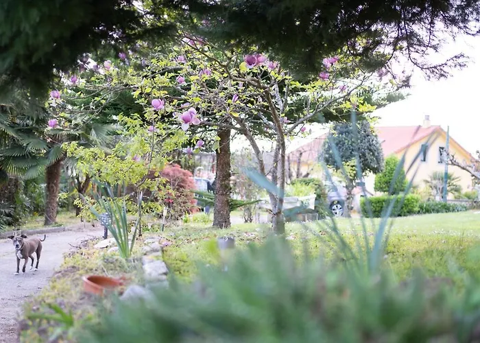 Casa Milladoiro Dom wakacyjny Mino