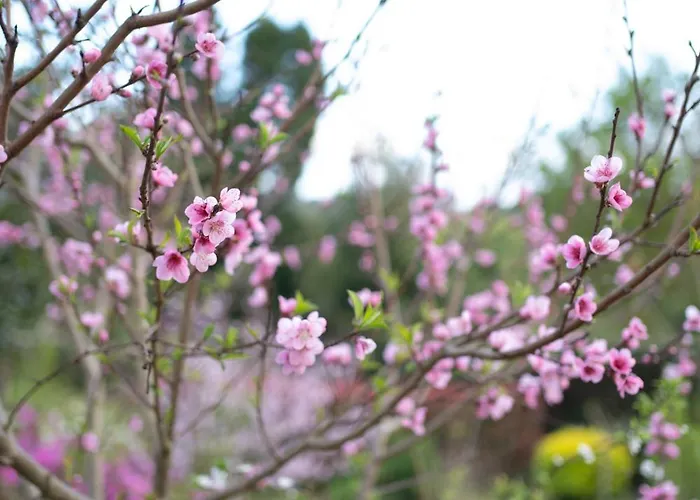 Dom wakacyjny Casa Milladoiro