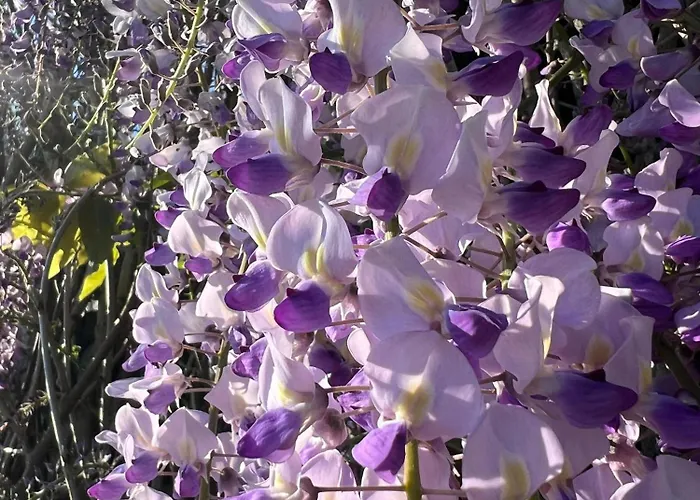 Casa Milladoiro Dom wakacyjny *