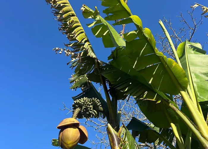 Casa Milladoiro Dom wakacyjny *