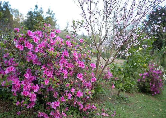 Dom wakacyjny Casa Milladoiro *